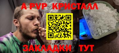 jwh Кингисепп