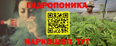 jwh Кингисепп