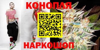 jwh Кингисепп