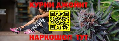 jwh Кингисепп