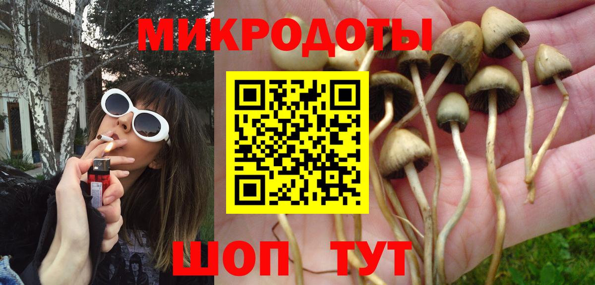 Коряжма  Псилоцибиновые грибы мицелий  Вход с VPN 